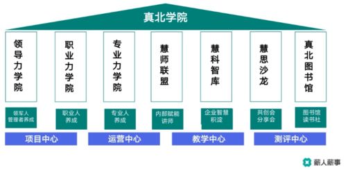 薪人薪事線上沙龍 以數字化創新技術為引擎，驅動學習型組織構建